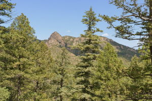  Photo 33