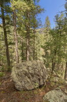  Photo 34