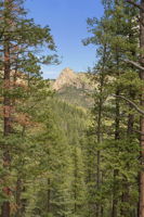  Photo 35