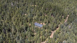 Aerial