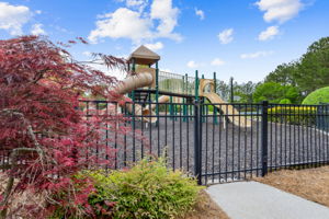 Community Amenities