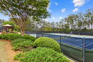 Community Amenities