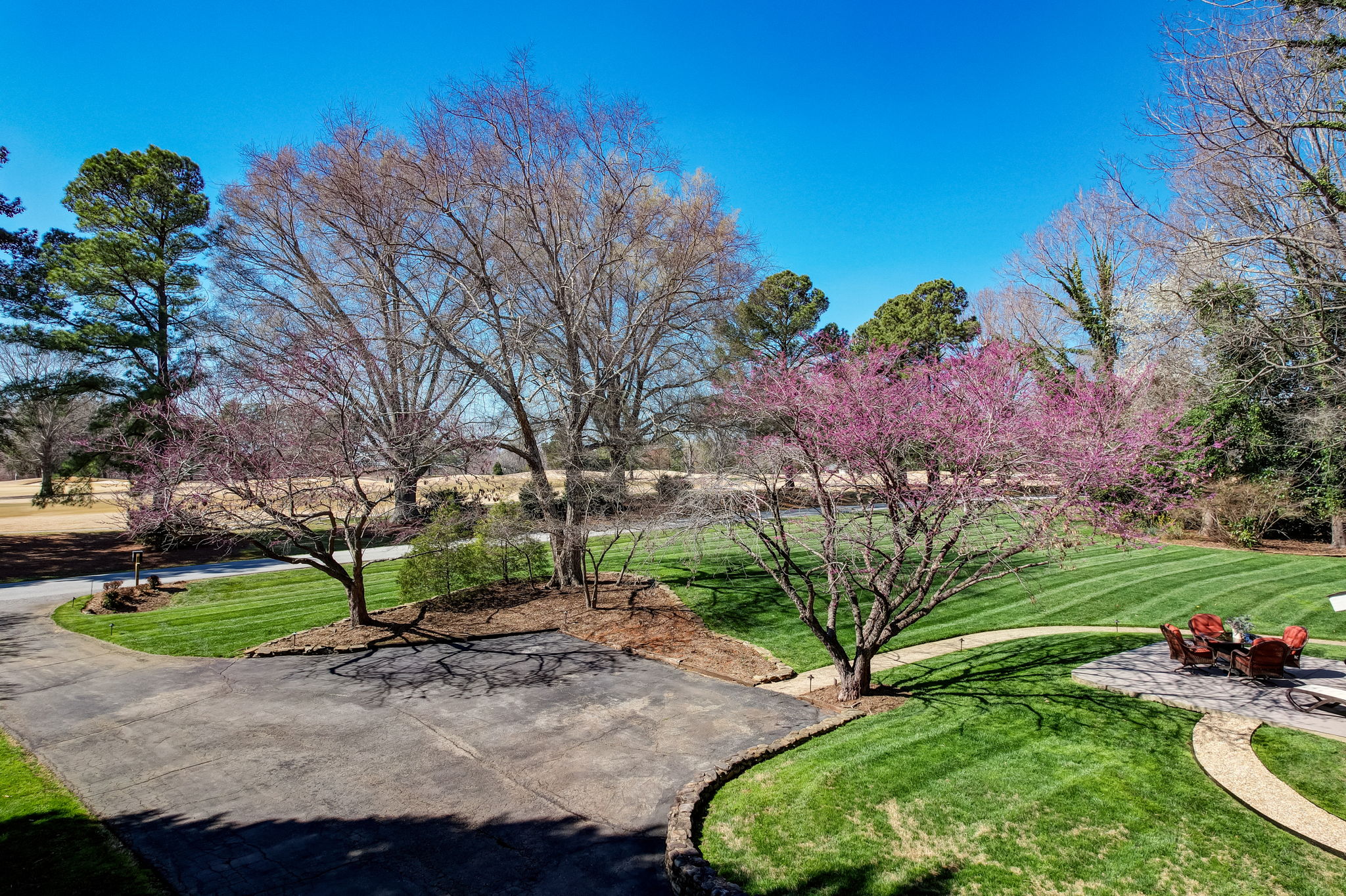 Front Yard