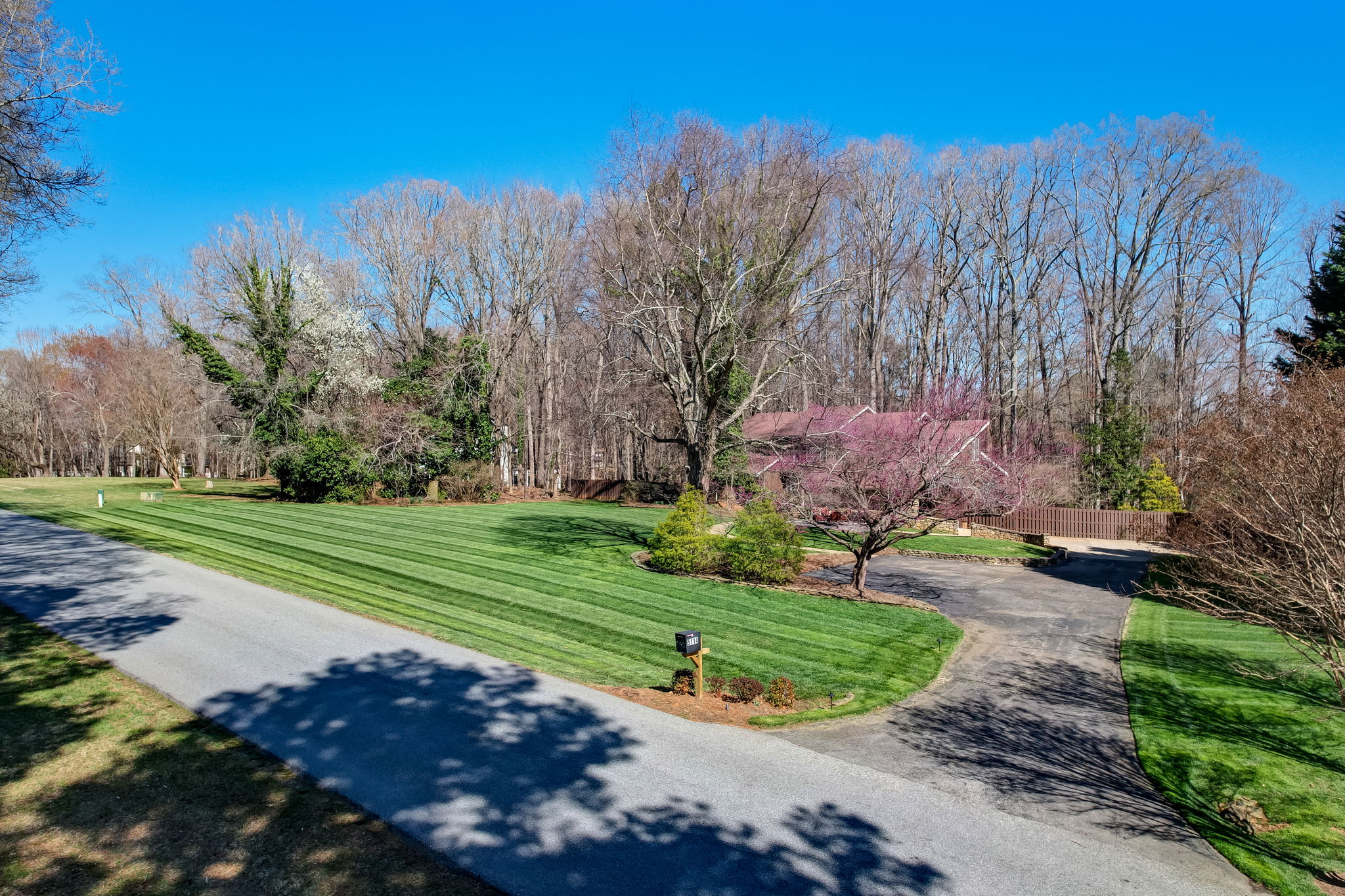 Front Yard