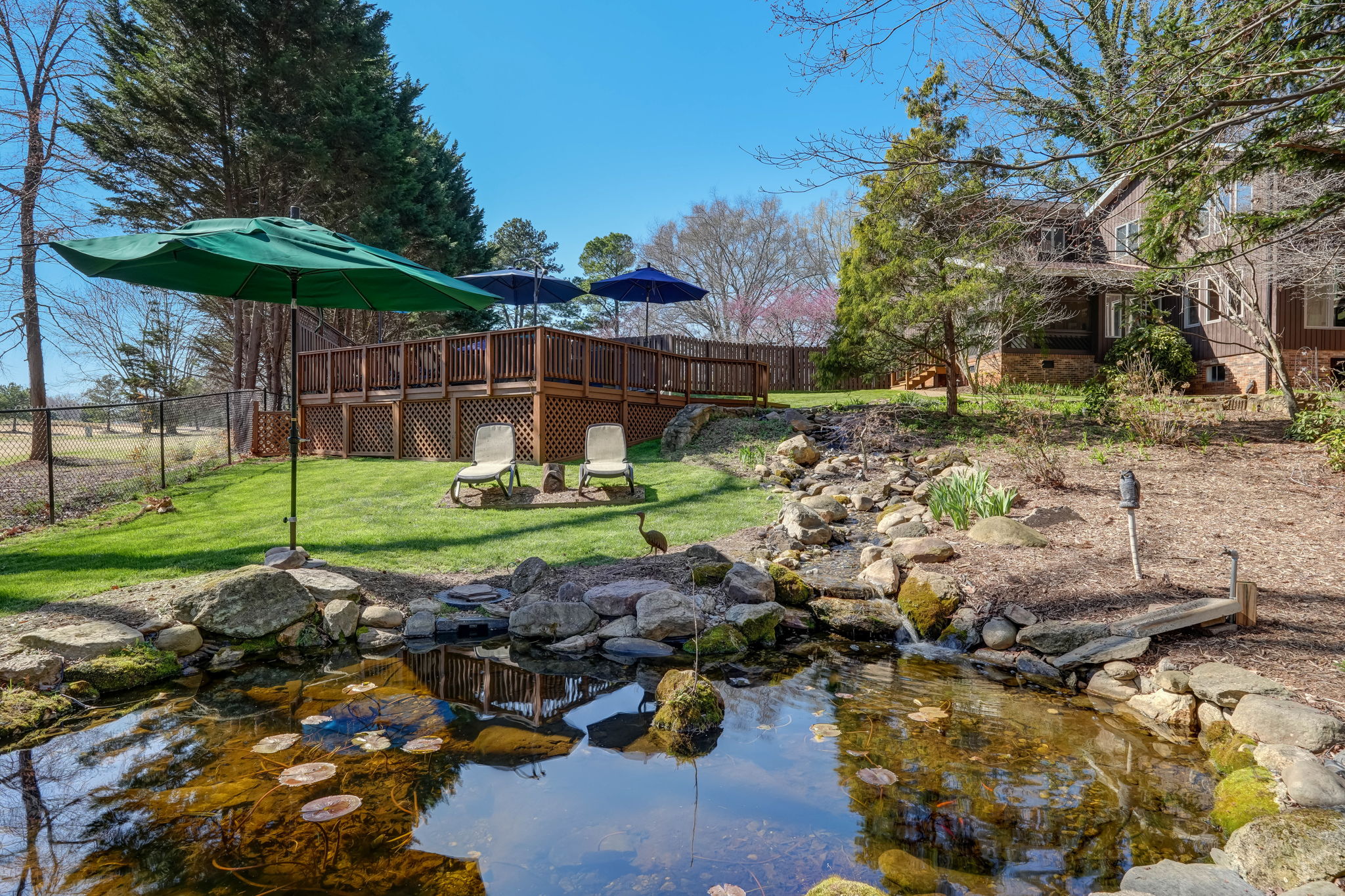 Koi Pond