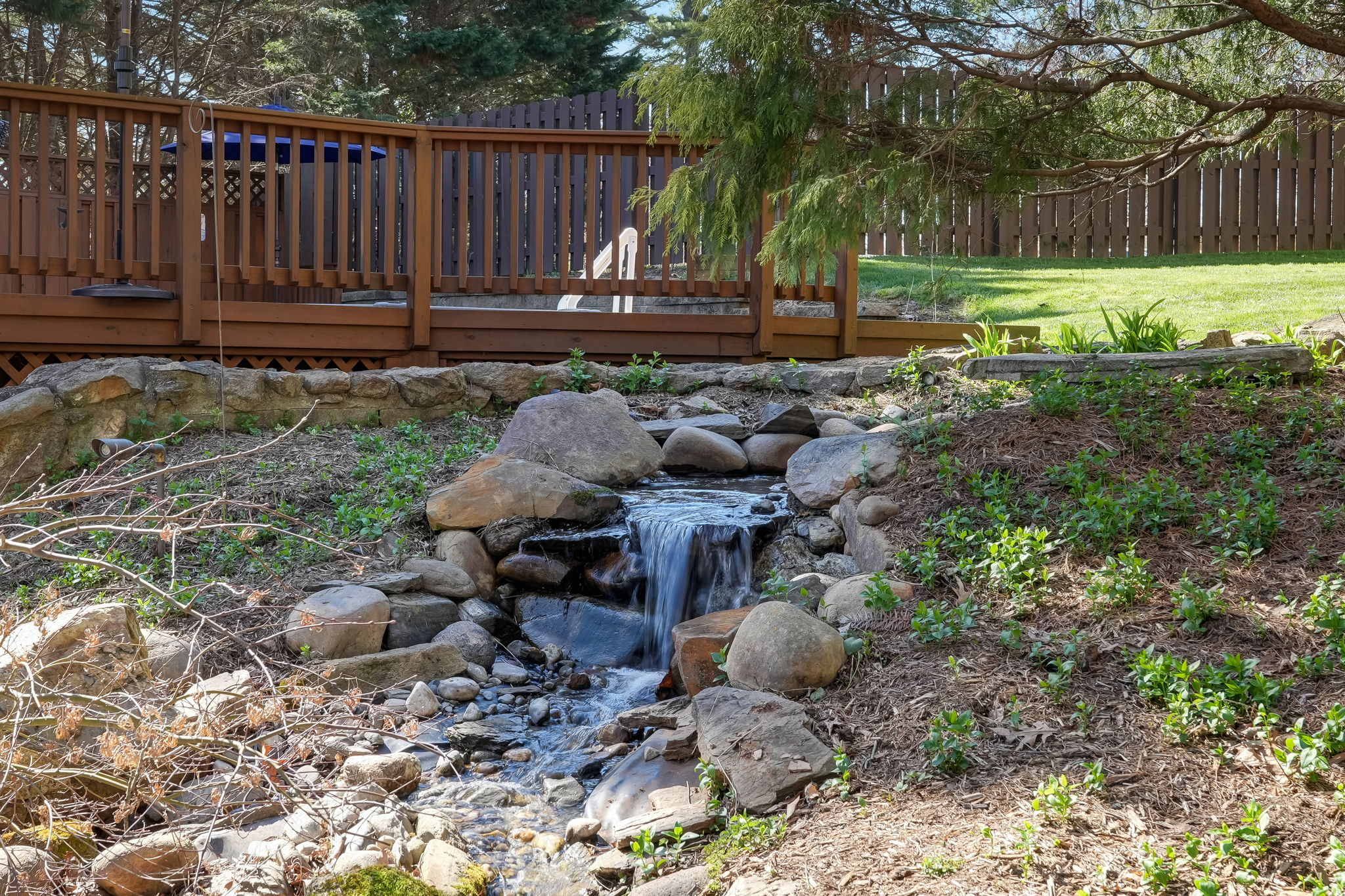 Koi Pond