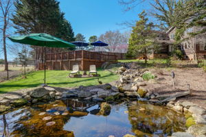 Koi Pond