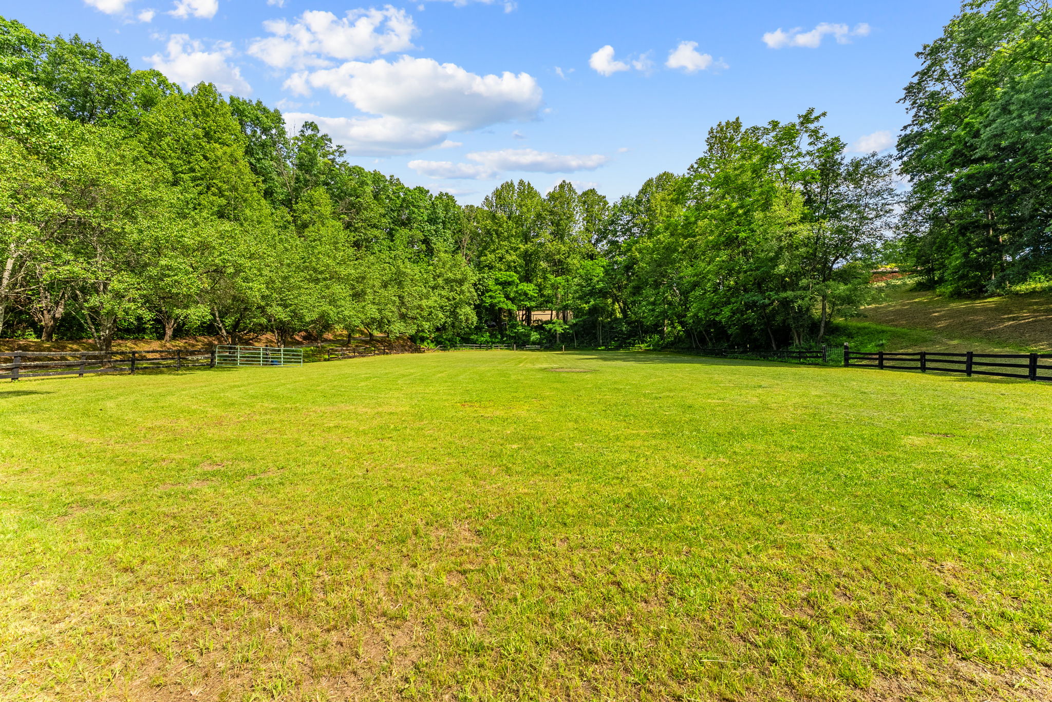 Expansive grass riding arena