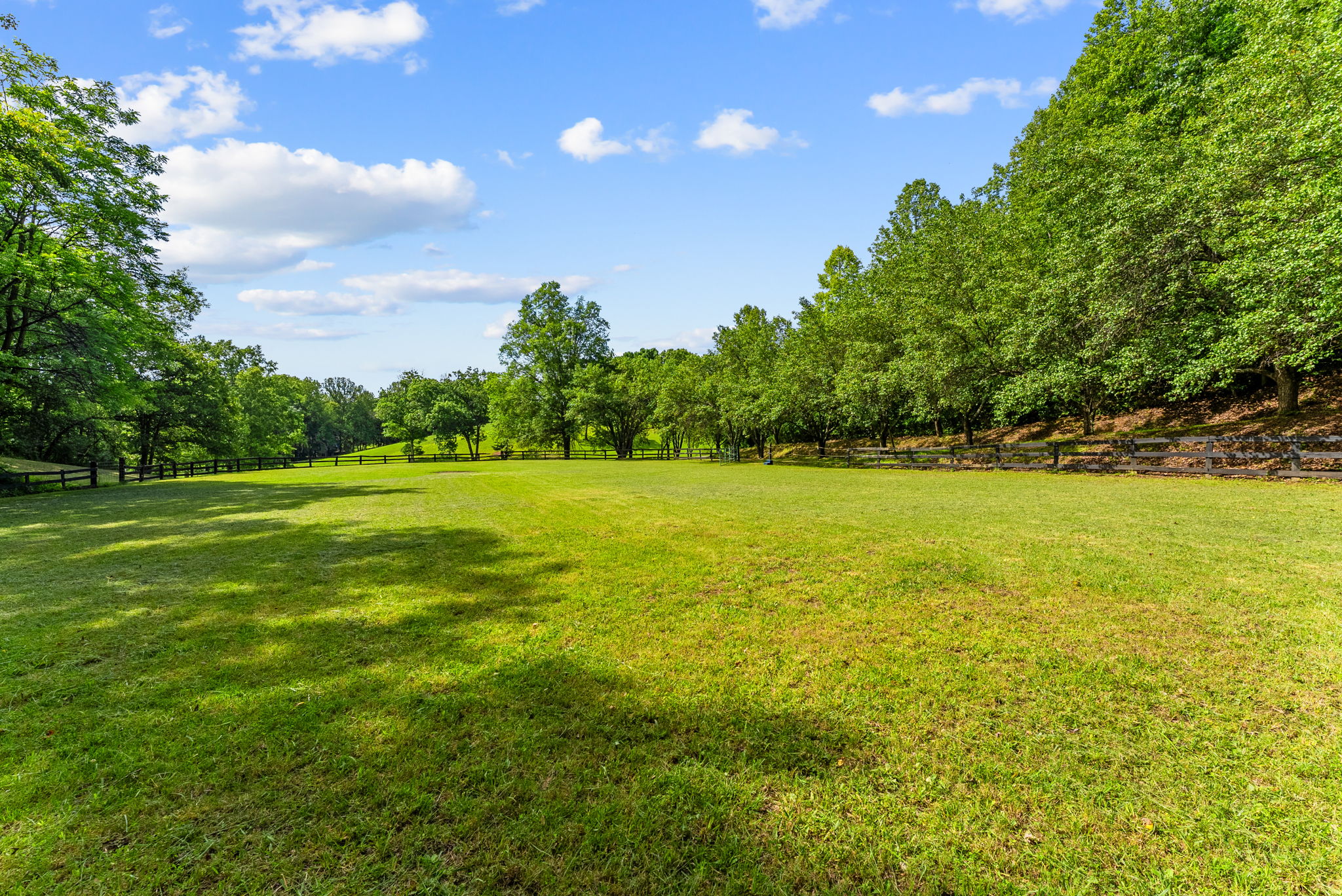 Expansive grass riding arena