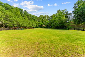 Expansive grass riding arena