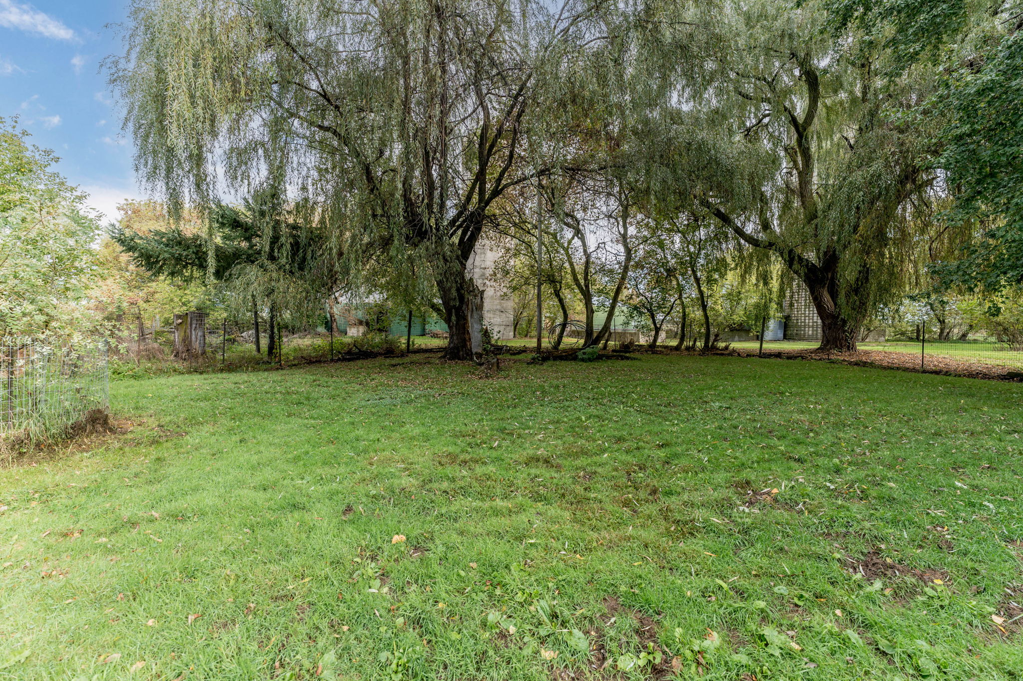  Photo 49