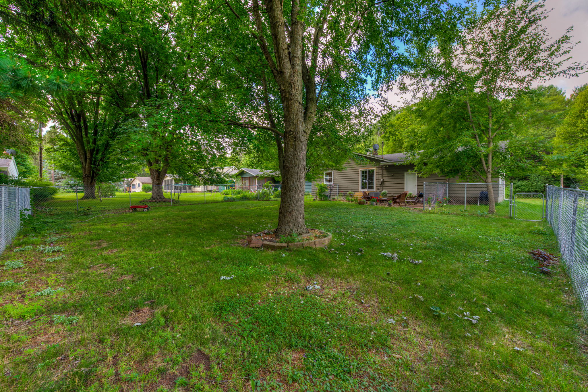 Backyard