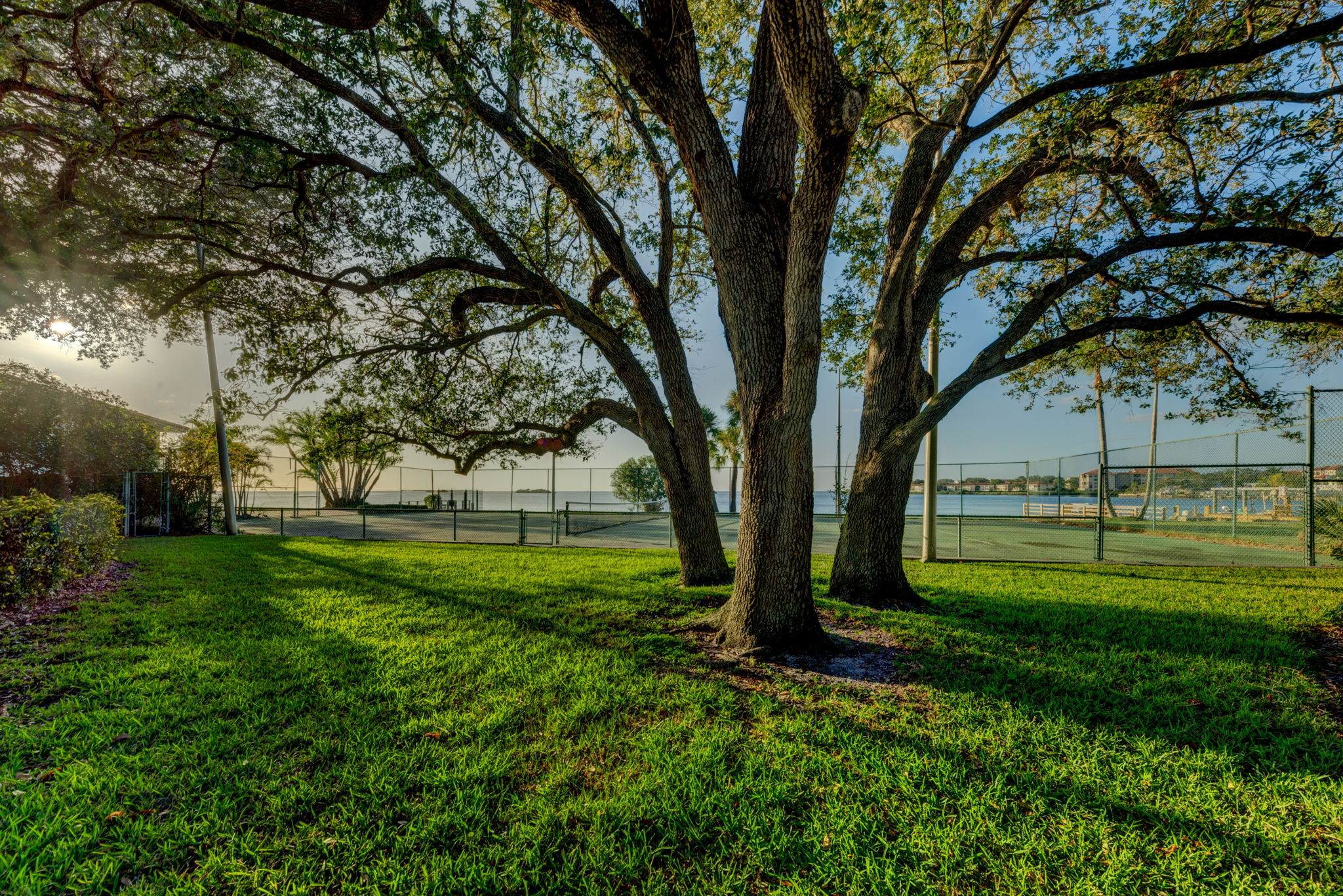 Adjacent Vacant Lot-Tennis Court9