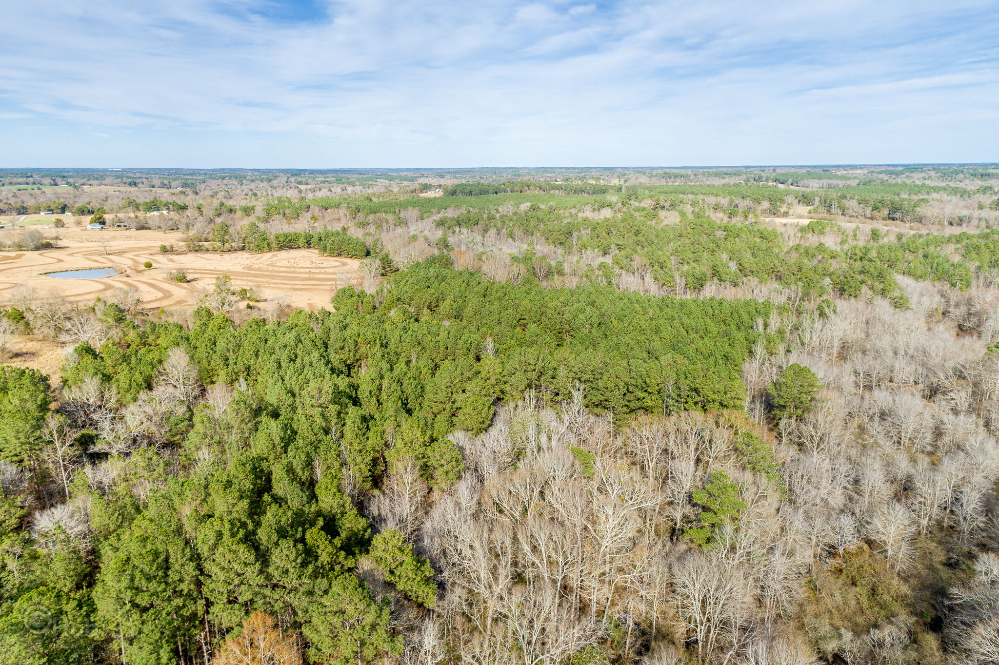 Drone View-2