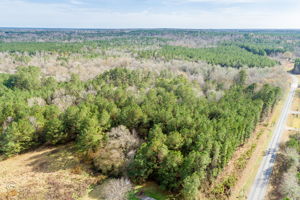 Drone View-1