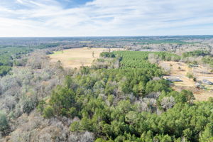 Drone View-6