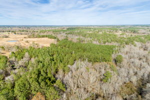 Drone View-2