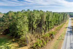 Drone View-10