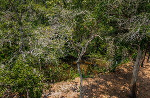 Upper Level Master Bedroom Balcony View3