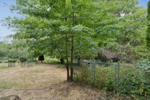 145.jpg