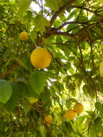  Photo 24