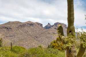 Catalina Mountain views