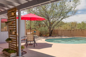 Backyard/Pool