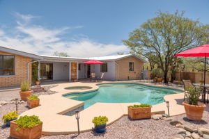 Pool/Backyard