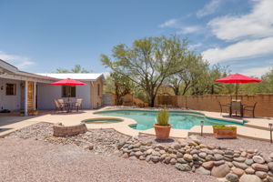 Pool/Backyard
