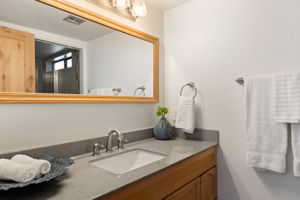 Primary Bathroom 1