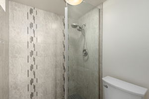 Primary Bathroom 1 Shower