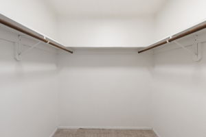 Primary 1 Walk-in Closet