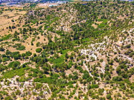 DJI_0889