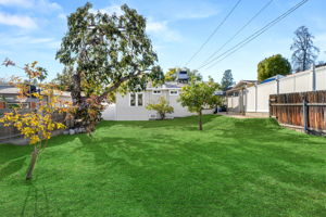 Windermere Backyard-4