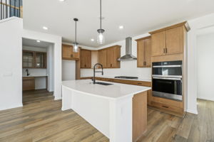 51261 DEERBROOK DRIVE-S0303-009