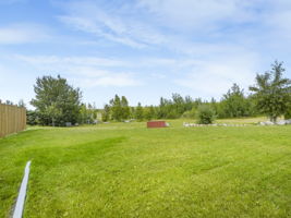  Photo 50