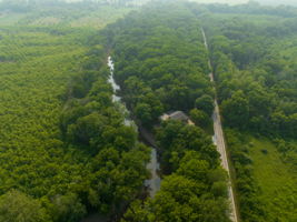 Aerial