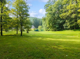  Photo 45