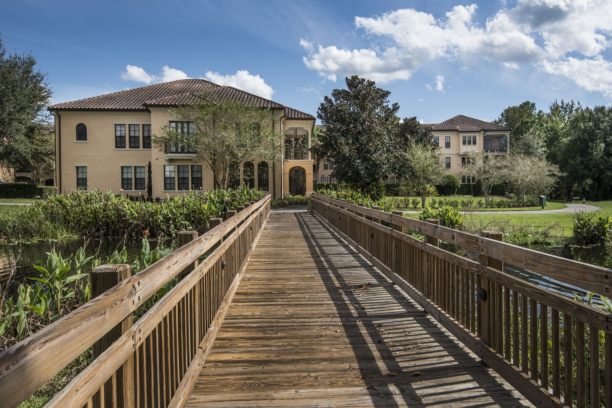 Walking Bridge to Downtown Celebration