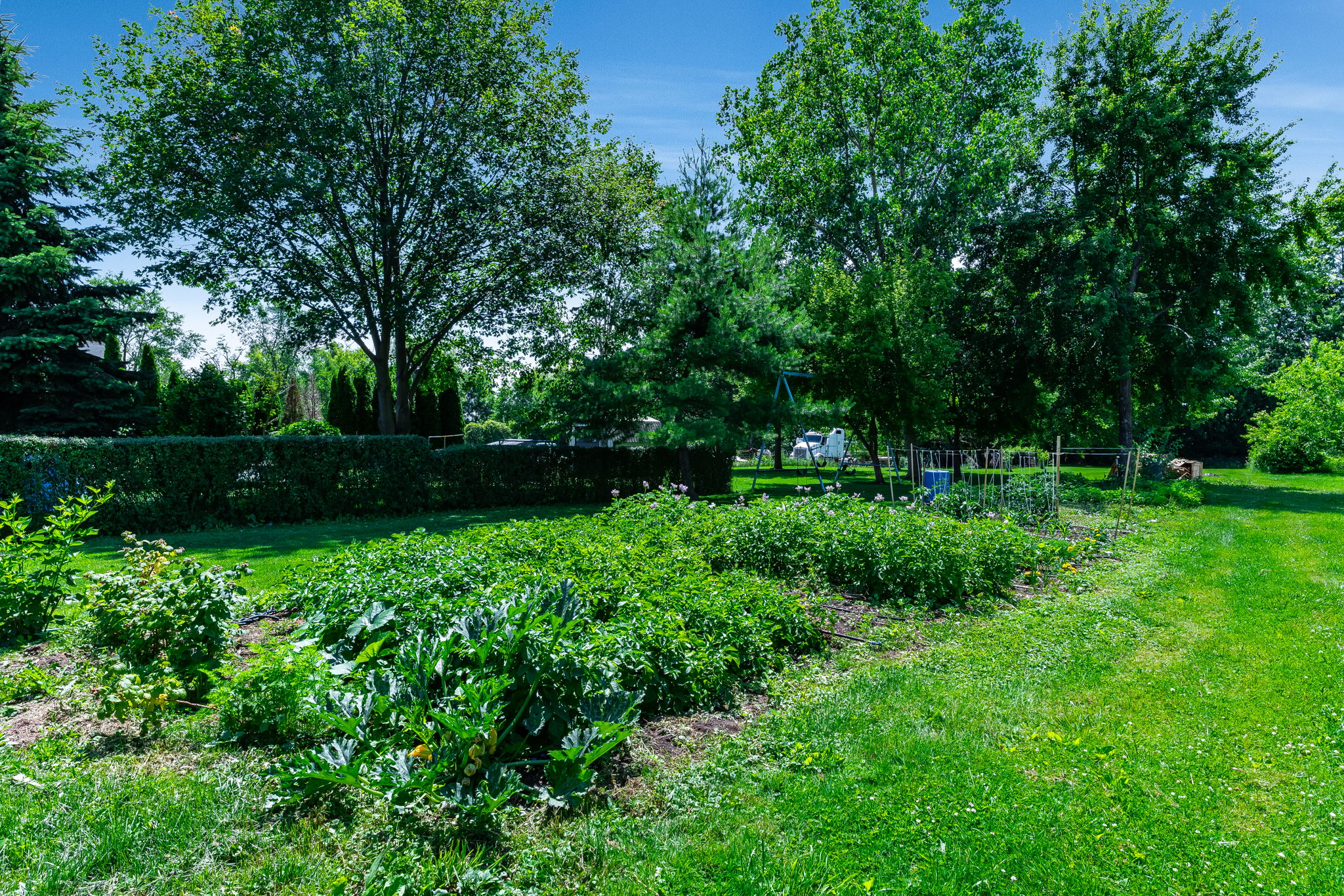  Photo 43