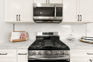 Stainless Gas Stove