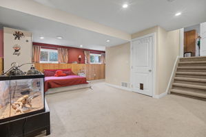  Photo 49