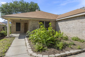  Photo 41