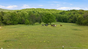 Image-41