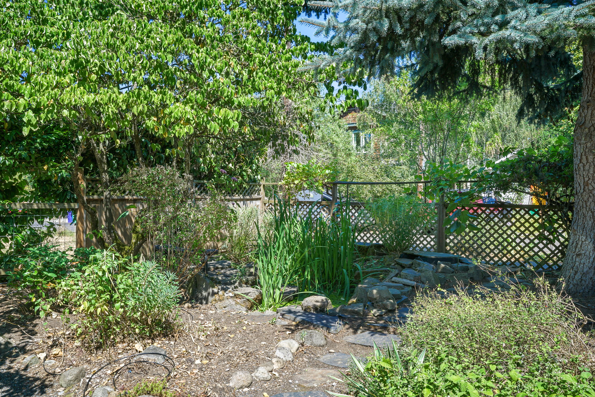  Photo 42