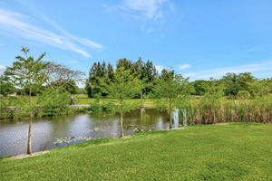  Photo 49