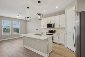 Orlando - Silverleaf Reserve - 5139 Passion Flower Way Winter Garden FL 34787 - 010