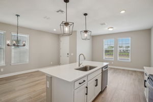 Orlando - Silverleaf Reserve - 5139 Passion Flower Way Winter Garden FL 34787 - 013