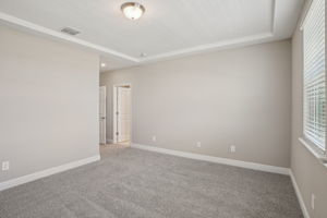 Orlando - Silverleaf Reserve - 5139 Passion Flower Way Winter Garden FL 34787 - 022