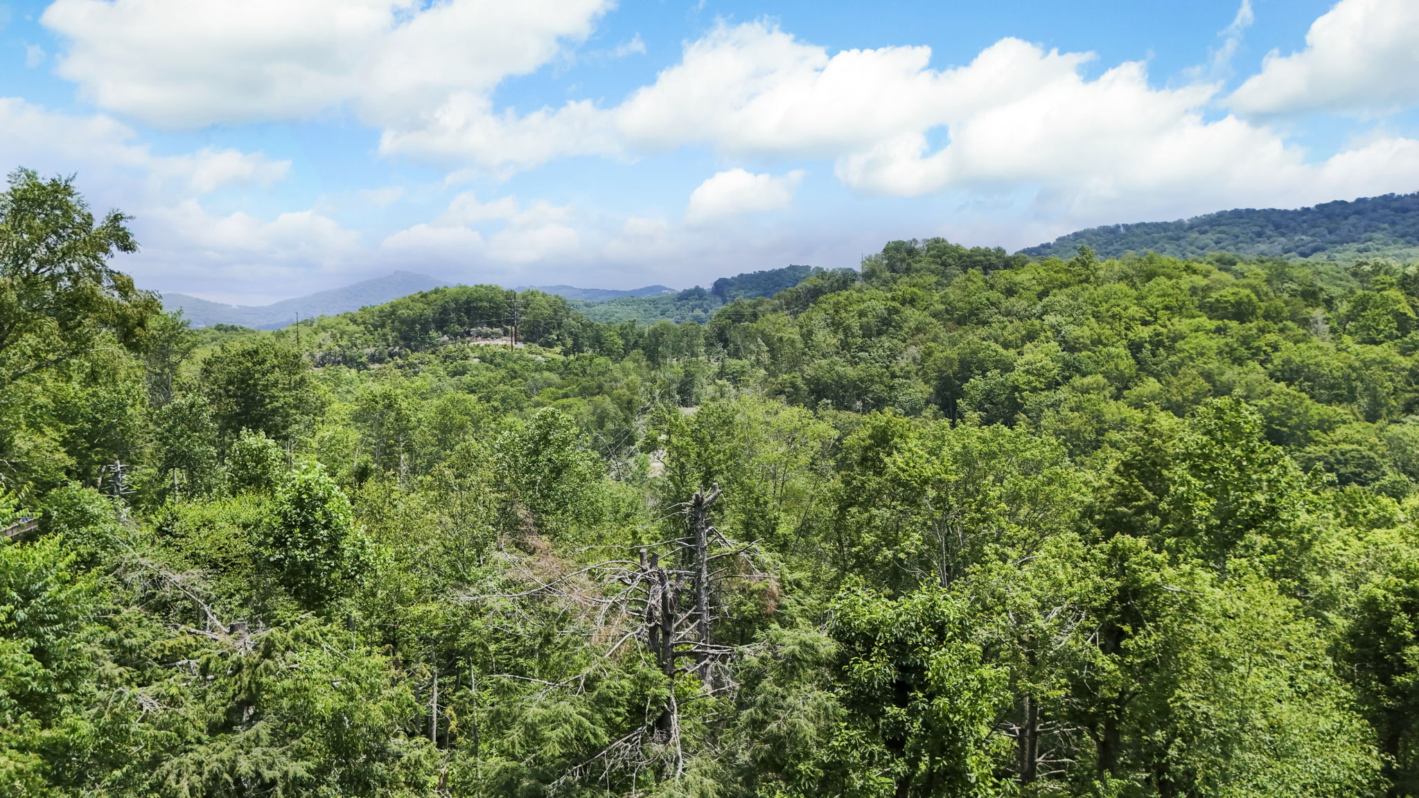 DJI_20250708015508_0559_D